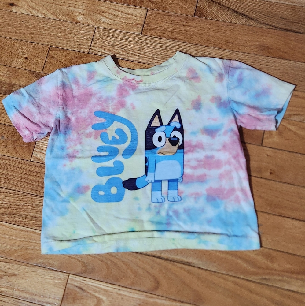Kid's home made tye dye Bluey shirt